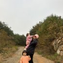 운무목장 | 🌤️ 홍천 태극 캠핑장 둘째 날 | 운무, 맛, 힐링이 완벽했던 하루