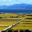 들녘 옷 이미지