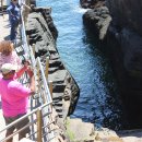 썬드 홀의 위용 (thunder Hole, Acadia National Park) Day2 이미지