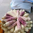 황지자유시장 이미지