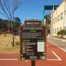 메밀꽃유치원 이미지