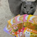 (주)텔파 이미지