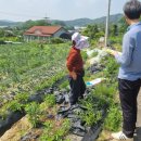 수요와공급기획