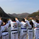 브레인태권도 이미지