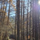 명품 스피치(자신감 향상) 이미지