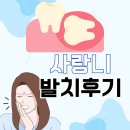롯데센텀약국 | 사랑니 발치 후기 (첫사랑니치과 센텀점)