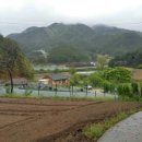 봉화목장 이미지