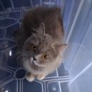 너와나,묘연 이미지