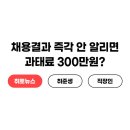 [헤드라인 취뽀뉴스] 채용결과 즉각 안 알리면 과태료 폭탄? 💥 이미지