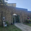 연리지가든 | 제주도 연리지가든 블루리본 레드리본 받으곳 특별할까?