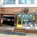 더 데일리 펫샵 이미지