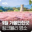 푸른펫살롱 | 9월말 가볼만한곳 핑크뮬리 명소 개화시기 가을 국내여행지 추천 BEST 5