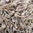 삼동농장 이미지