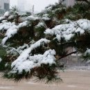 석천공원 이미지