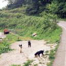 지앤파크펜션 | 남해-통영-거제 투어, 2일차 통영 June 7. 2014