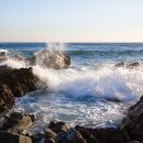 바다이야기2 이미지