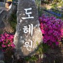 도혜원민박
