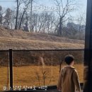 더벤티 하남감일점 | 하남 감일 애채 브런치카페 아이랑 갈만한 야외 테라스 카페 추천