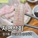 송화회초밥 | 대구 장기동 맛집 자연산회 3대 고급횟감 이시가리 본리동 횟집 추천