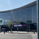 [대전] 국제 와인 EXPO 방문 후기:대전컨벤션센터DCC