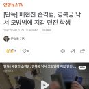 [단독] 배현진 습격범, 경복궁 낙서 모방범에 지갑 던진 학생 이미지