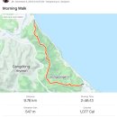 해파랑길 36코스 바우길 08구간 이미지