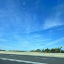 해바라기가맥 이미지