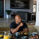 단풍나무짐 이미지