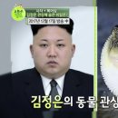토불
