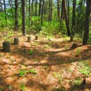 병암경로당 이미지