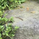 우애랑정육식당 이미지