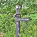 배순정려비 이미지