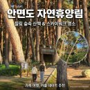 [충남 태안] 안면도 자연휴양림 스카이워크 산책 코스