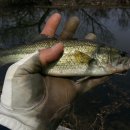 서면도서관 이미지