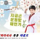 신정태권도장 이미지