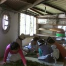 박씨농장 이미지