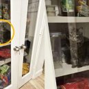 간식창고 이미지