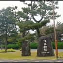 대유랜드 이미지