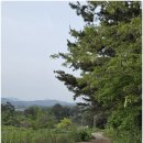 남파랑길11구간3일차2(고흥)( 오산삼거리-남양버스정류장 ) (71~74코스) 이미지