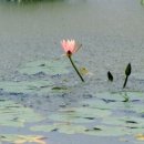 사랑은 아름다워라 이미지