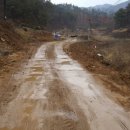 서대전육교밑 이미지