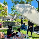 세븐일레븐 대천머드로점 | 보령여행 :: 대천해수욕장 2025 보령 머드축제 후기 달라진점 :)