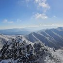 제114회 2월 정기산행 (영동) 민주지산 눈꽃산행 이미지