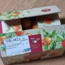 와우농장 | 쇠소깍산물관광농원 제주감귤체험농장 한라봉 천혜향 주문 시식후기