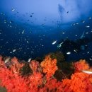 (주)버블디 이미지