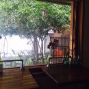 더 브릭 하우스 이미지