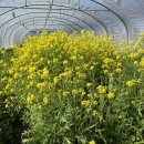 대산2농장 이미지