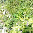 아산만로 이미지