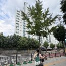 세컨드랠리 - 용산구 한강대로15길 23 | 노원 테니스 세컨드랠리 상계점 기계연습 별로였던 후기