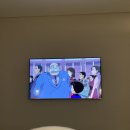 켈리인더볼 네이버블로그